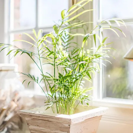 Haus Skandia, App 4 *